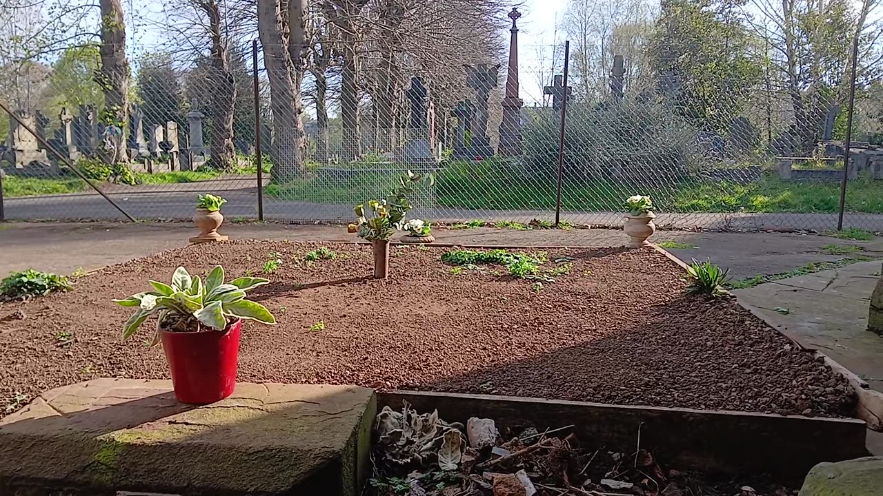 The avenue of trees @ satans cafe