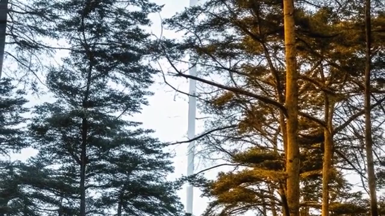 You're Followed By Favor