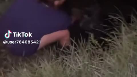 why would you do that