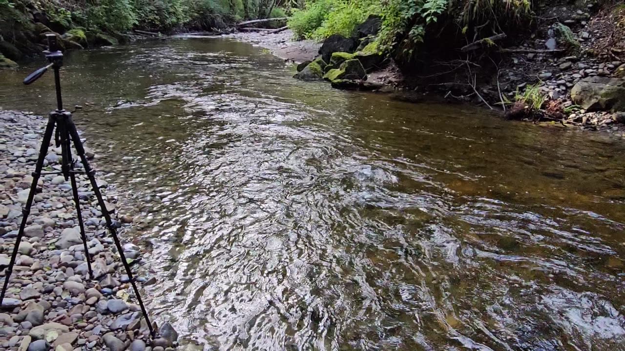 Retrieving the Camera (Part 2)