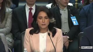 Dem King has meltdown Tulsi Gabbard doesn’t consider Climate Change a Threat