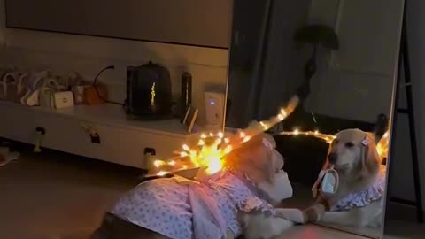 Loving the angel costume