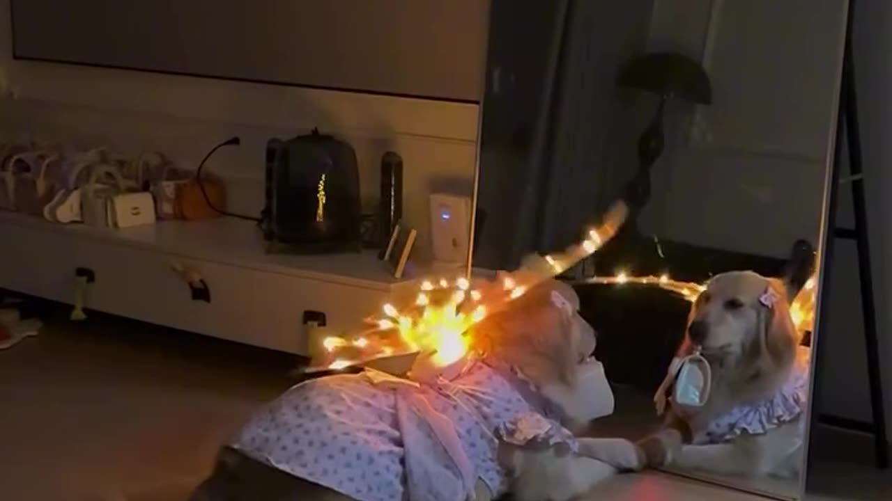 Loving the angel costume