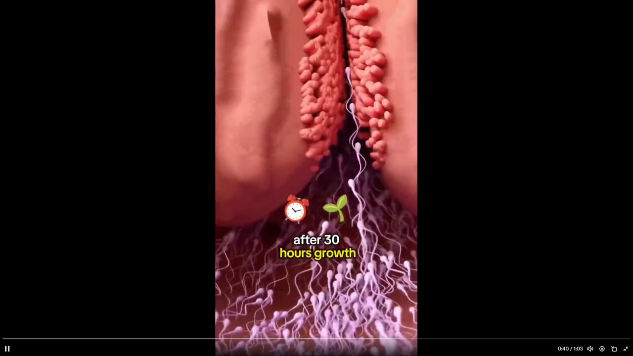 Your body's amazing clean up if you do a 36 hour fast. Easier than you think