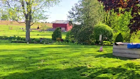 End Of APRIL Gardens Walk-through! // Whitt Acres