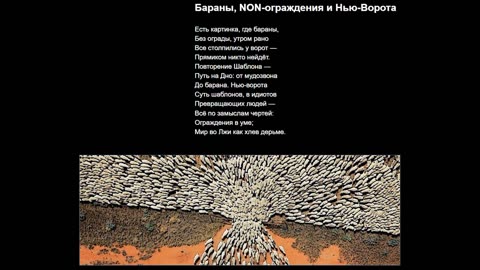 Бараны, NON-ограждения и Нью-Ворота