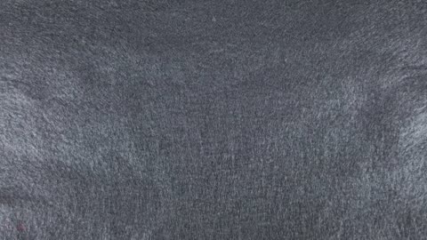 Die Dunkele Wahrheit hinter der BRD und EU 🧐😳😱