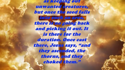Matthew 13:7 - Daily Bible Verse Commentary