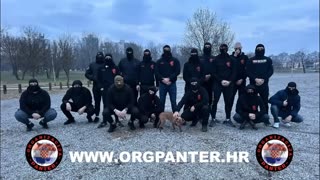 BOLESNIK UHVAĆEN U PULI - POZVAO ŽENU| PANTER HRVATSKA