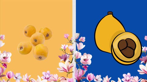 🍇 A is for Apple, B is for Banana, C is for Cherry...