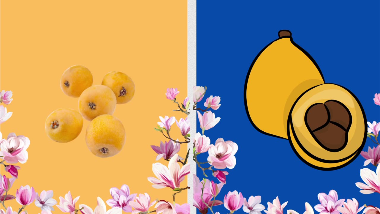 🍇 A is for Apple, B is for Banana, C is for Cherry...