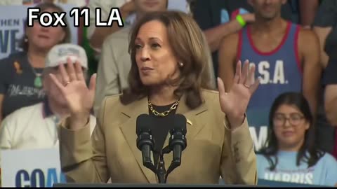 Up to 14 elite LAPD Metro officers are now protecting former Vice President Kamala Harris 24/7