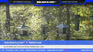 BIBLENKJV.COM™ 🛐 10/22/2025 #LIVE #WEATHER #KNOXVILLE