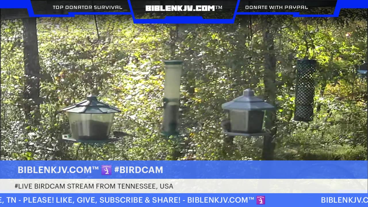 BIBLENKJV.COM™ 🛐 10/22/2025 #LIVE #WEATHER #KNOXVILLE