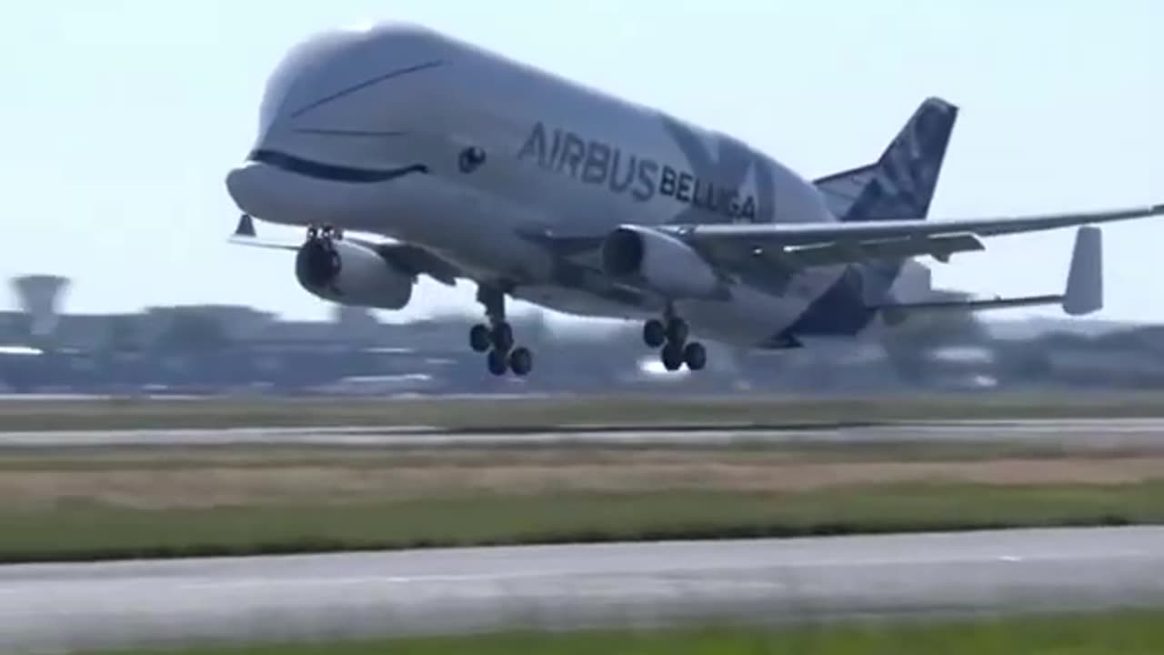 Watch This Flying Whale From Airbus - A330 BelugaXL Transporter #Aviation #AeroArduino