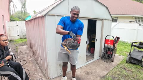 Farm to Table: How We Raise, Harvest & Prepare Our Own Food | Sustainable Living