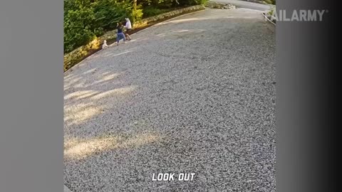 Viral Crash-outs and Chaos | Best of the best