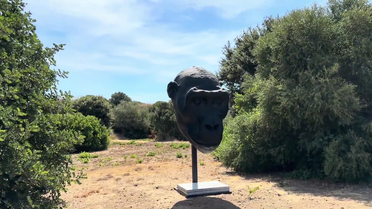 Selinunte Archaeological Park – Exploring the Ancient Temples of Sicily Italy