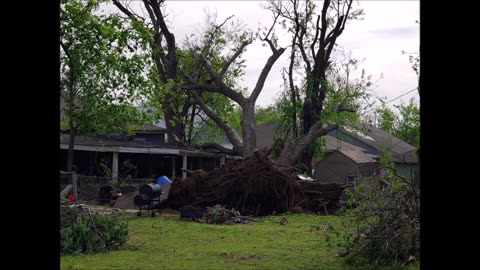 Bedwell's Tree Service LLC