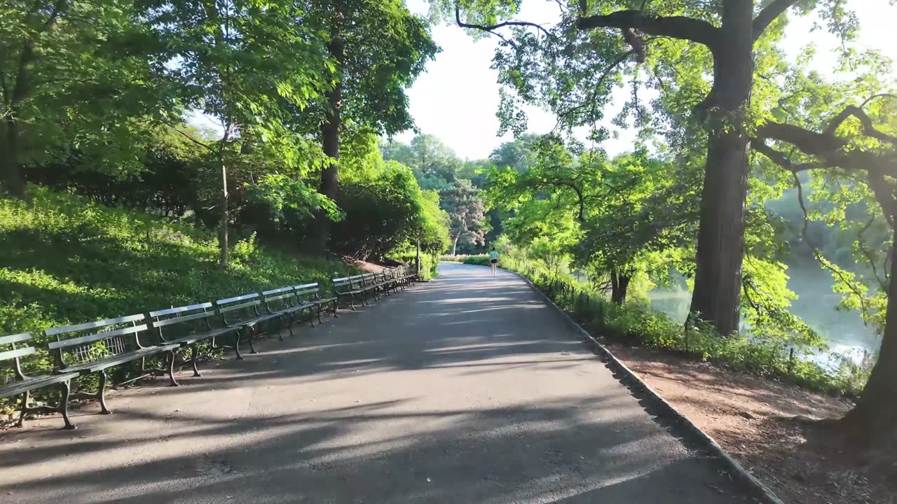New York City LIVE Walking (chat on YouTube)