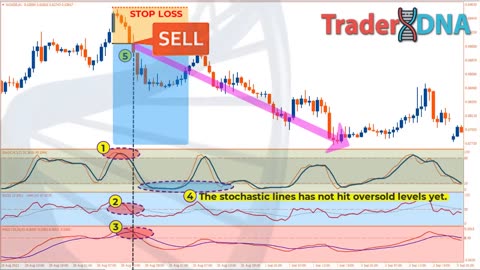 MACD + Stochastic RSI Strategy
