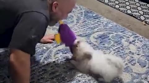 Man and His Dog Battle in an Epic Tug of War!