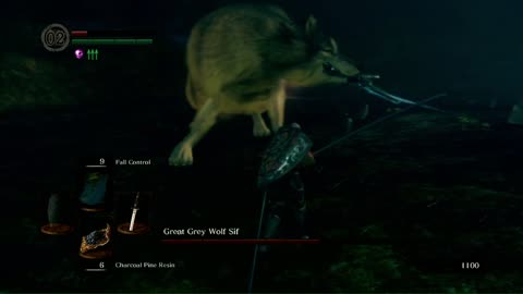 Melee only/No damage Great Grey Wolf Sif (Dark Souls Remastered)