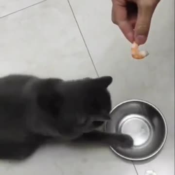 Dropping hints.. 😂