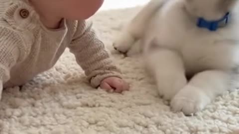 Cute Baby Playing with Animals | Adorable Baby and Pet Moments 2025