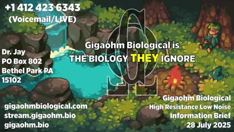 Gigaohm Biological High Resistance Low Noise Information Brief