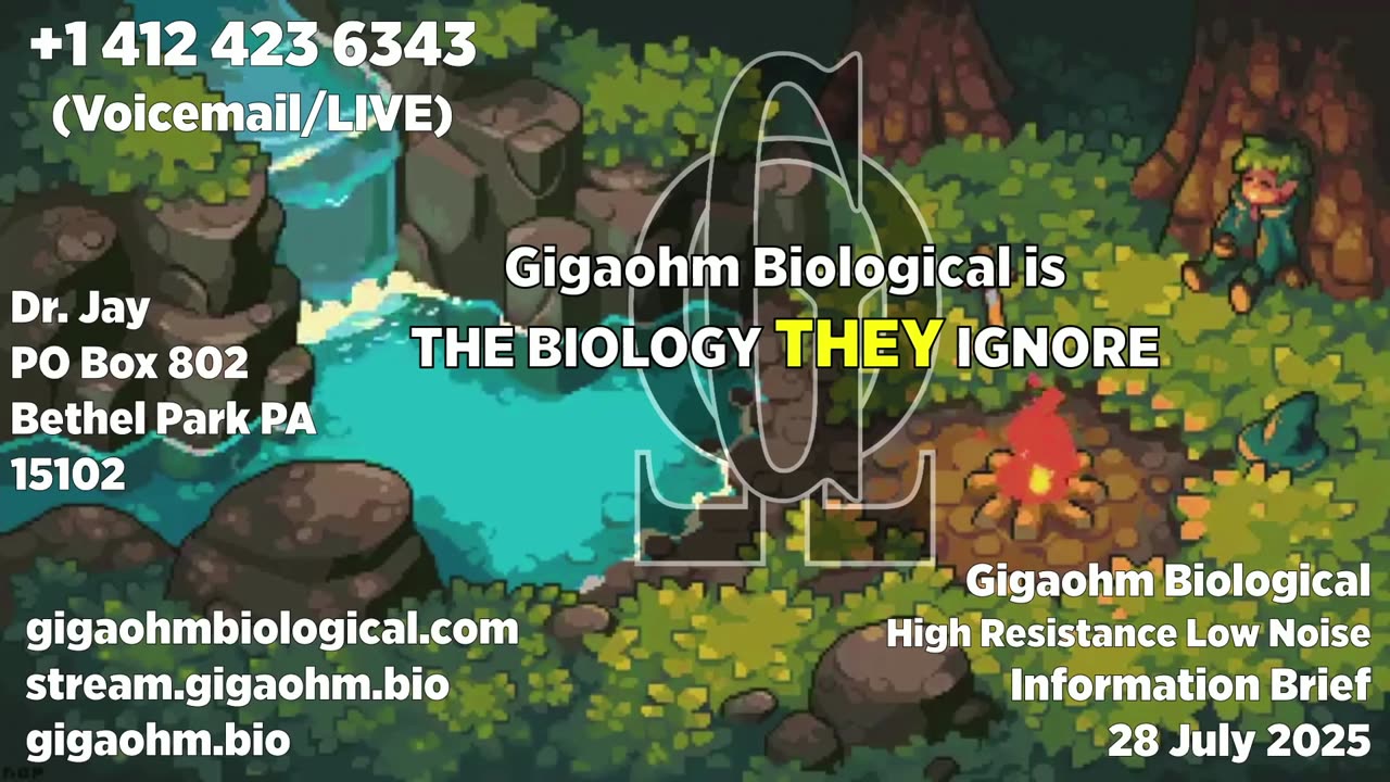 Gigaohm Biological High Resistance Low Noise Information Brief