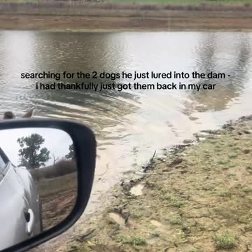 Kangaroo in Australia