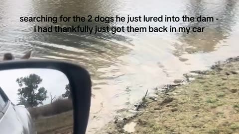 Kangaroo in Australia