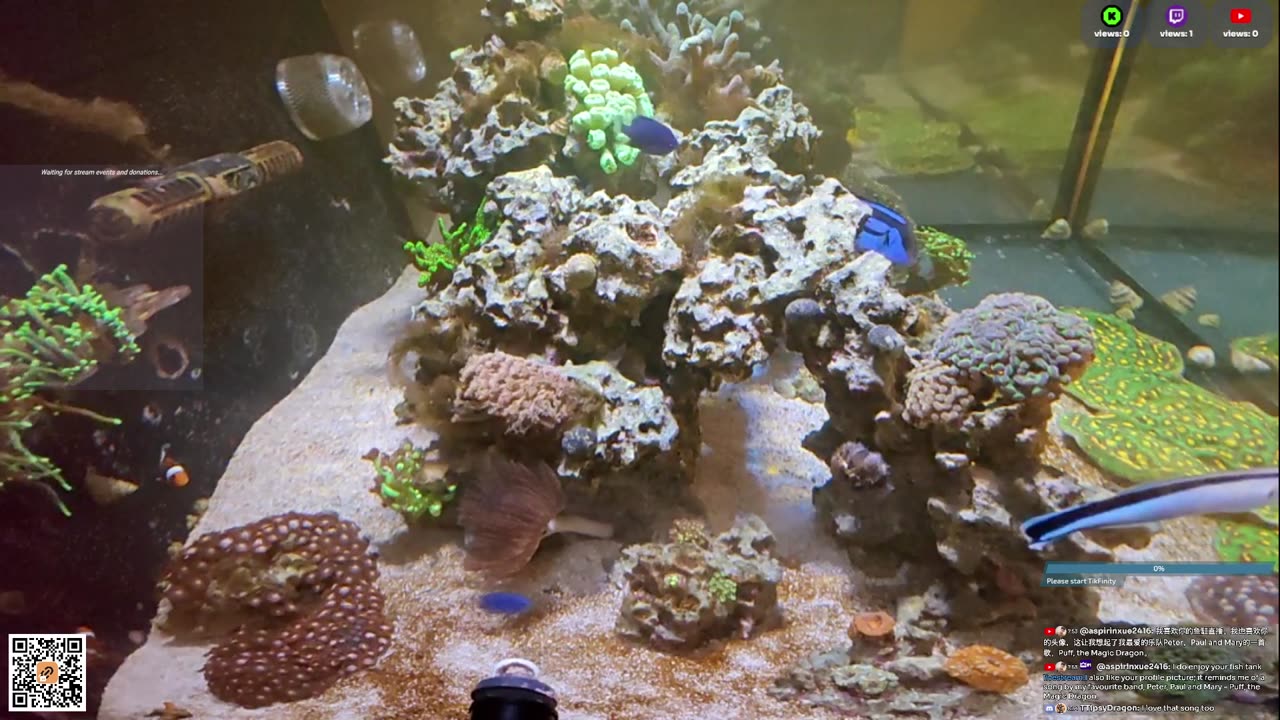 24/7 Real Live Reef Stream