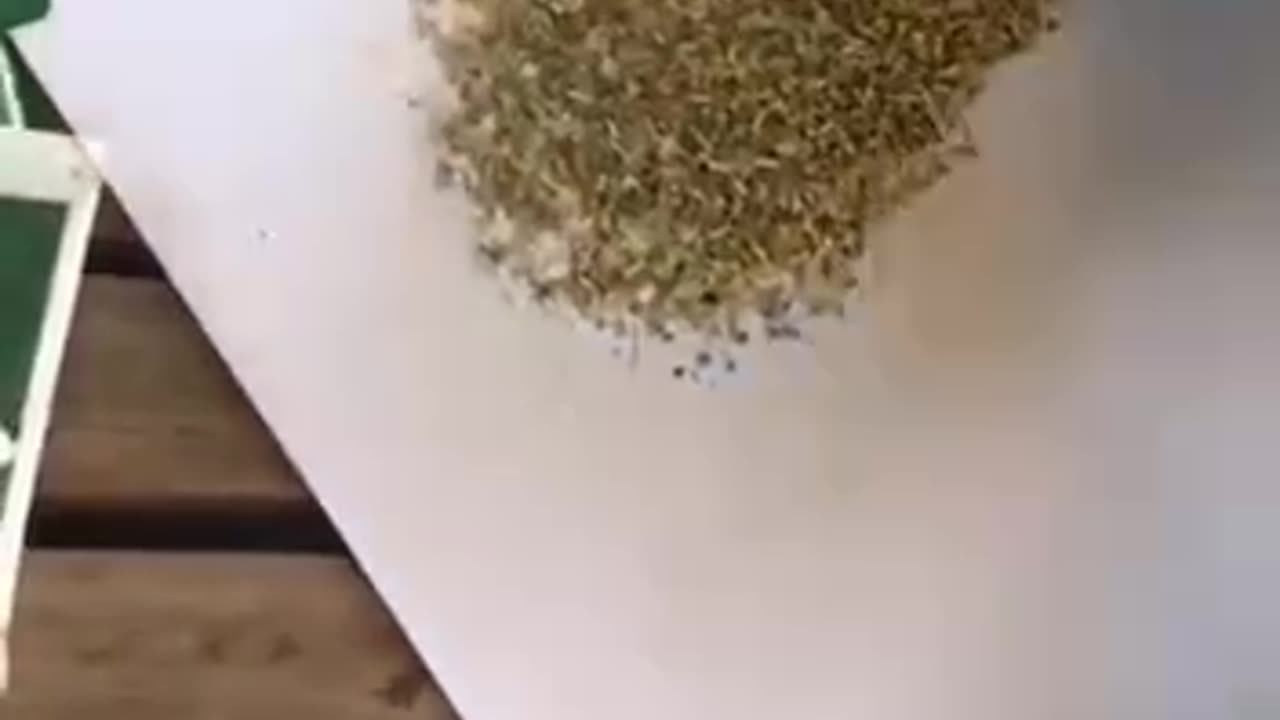 Be careful with everything that is processed and packaged.