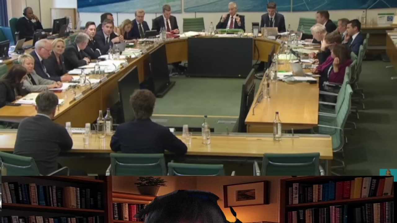 MPs STUNNED as witness lists all their failures