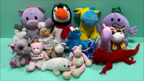 Counting Plush Toys