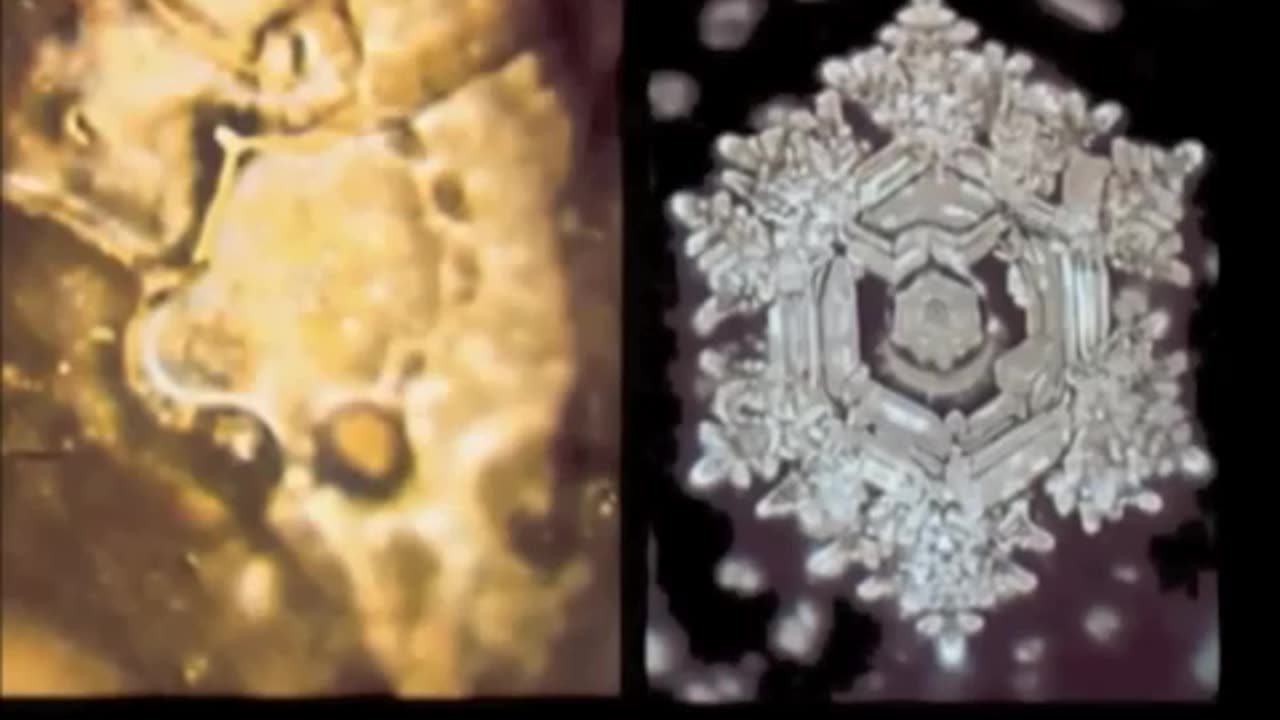Water Experiments by Masaru Emoto