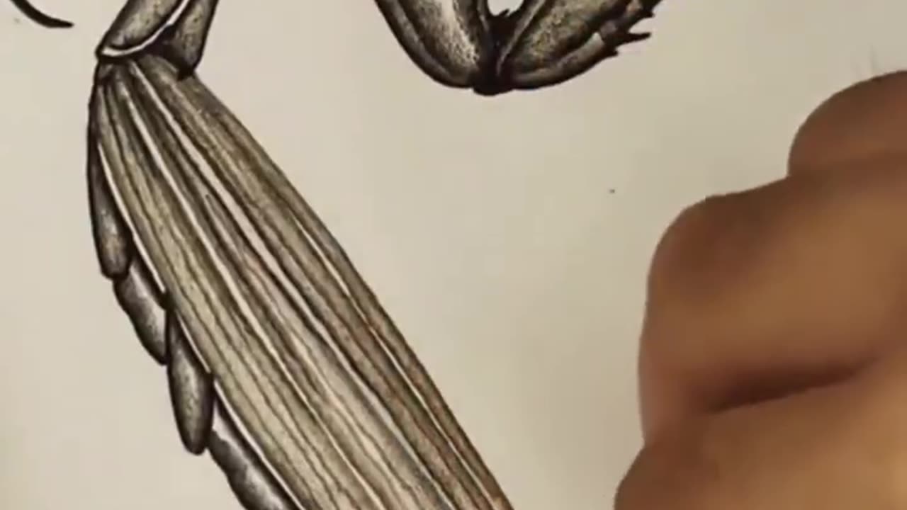 Drawing