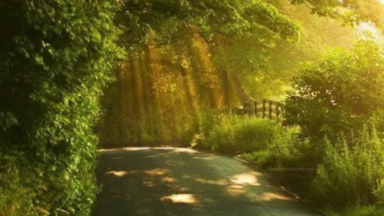 गर्मियों में आम खाने के फायदे #short #health #viarl #trending
