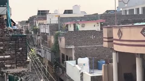 How to catch love birds from home roof