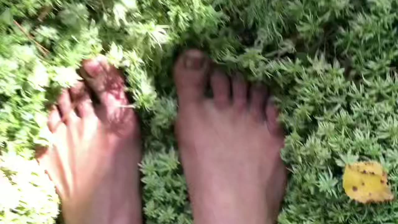 Barefoot in the moss 🌲