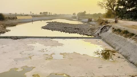 Kids Playing Dadu Canal My Village ❤❤ #maxrecords #villagelife #larkana #sindh #pakistan