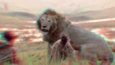 the Lion