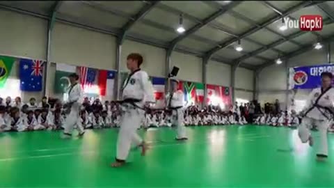 Hapkido