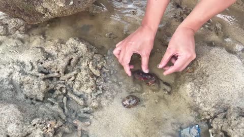I Found Malaysia’s Secret Island Getaway Paradise