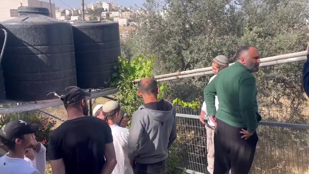 (((Disgusting creatures - stealing a house)))