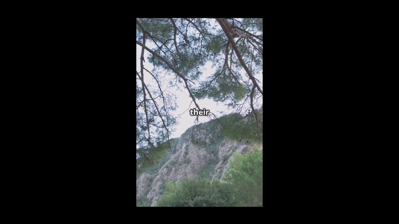 Feeling Anxious? Watch This Quick Prayer for Peace 🌿 #PrayerShorts