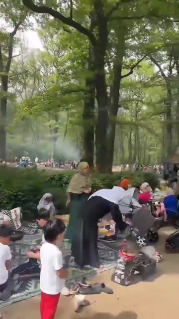 The native German is shocked to see that in the forests in Germany there are no Germans.