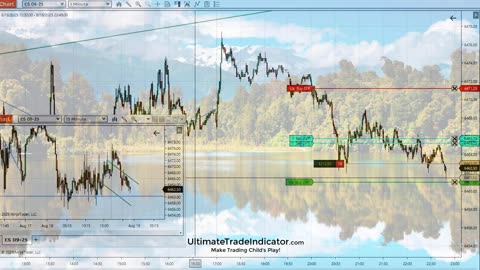 DISCOVER THE TRUTH ABOUT TRADING FUTURES STOCKS AND FOREX